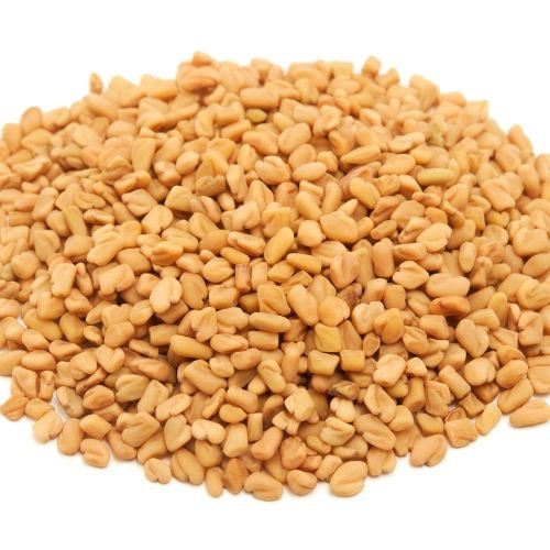 Trigonella Foenum-Graecum (methi)