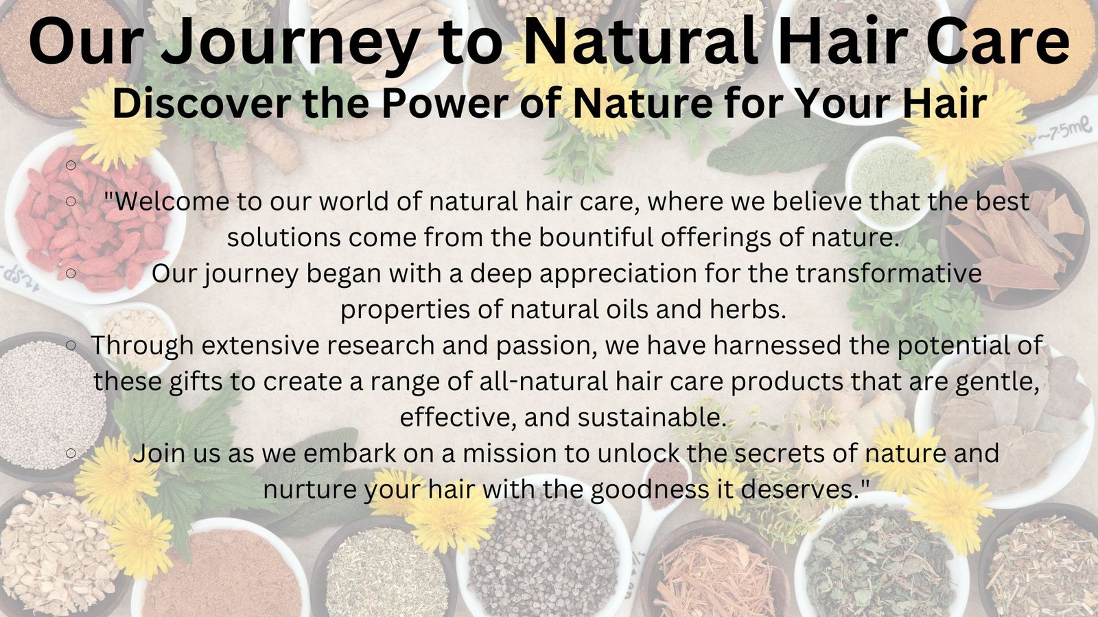 REVATOLOGY Philosophy