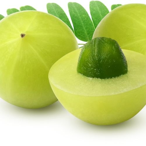 Amla, Phyllanthus emblica