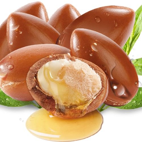 Argan Oil, Argania spinosa